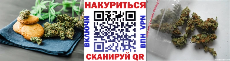купить  цена  Судак  Cannafood конопля 