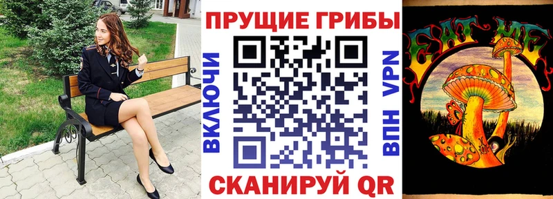 Галлюциногенные грибы Psilocybine cubensis  Судак 